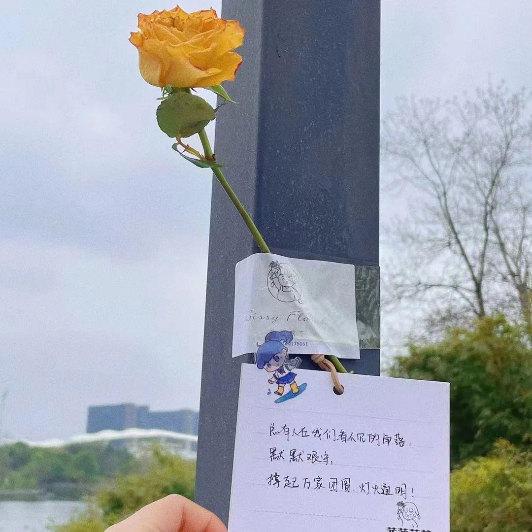 6d026da6b9914212aea42e22c46ba4c1.jpg 6d026da6b9914212aea42e22c46ba4c1.jpg