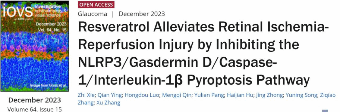 fea94746681447d1b3f10c647cd2b1e0.png fea94746681447d1b3f10c647cd2b1e0.png